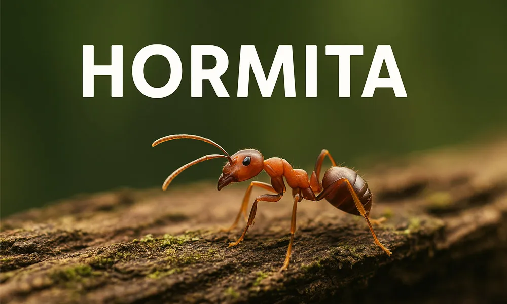 Hormita: The Elusive Hormone of Adaptation and the Quest to Decode its Secrets